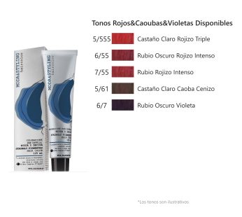 Elgon – Tintes Moda & Styling, Tonos Caoba, Violeta y Rojo